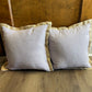 Set of Two Indoor/Outdoor Throw Pillows Waterfowl Feathers