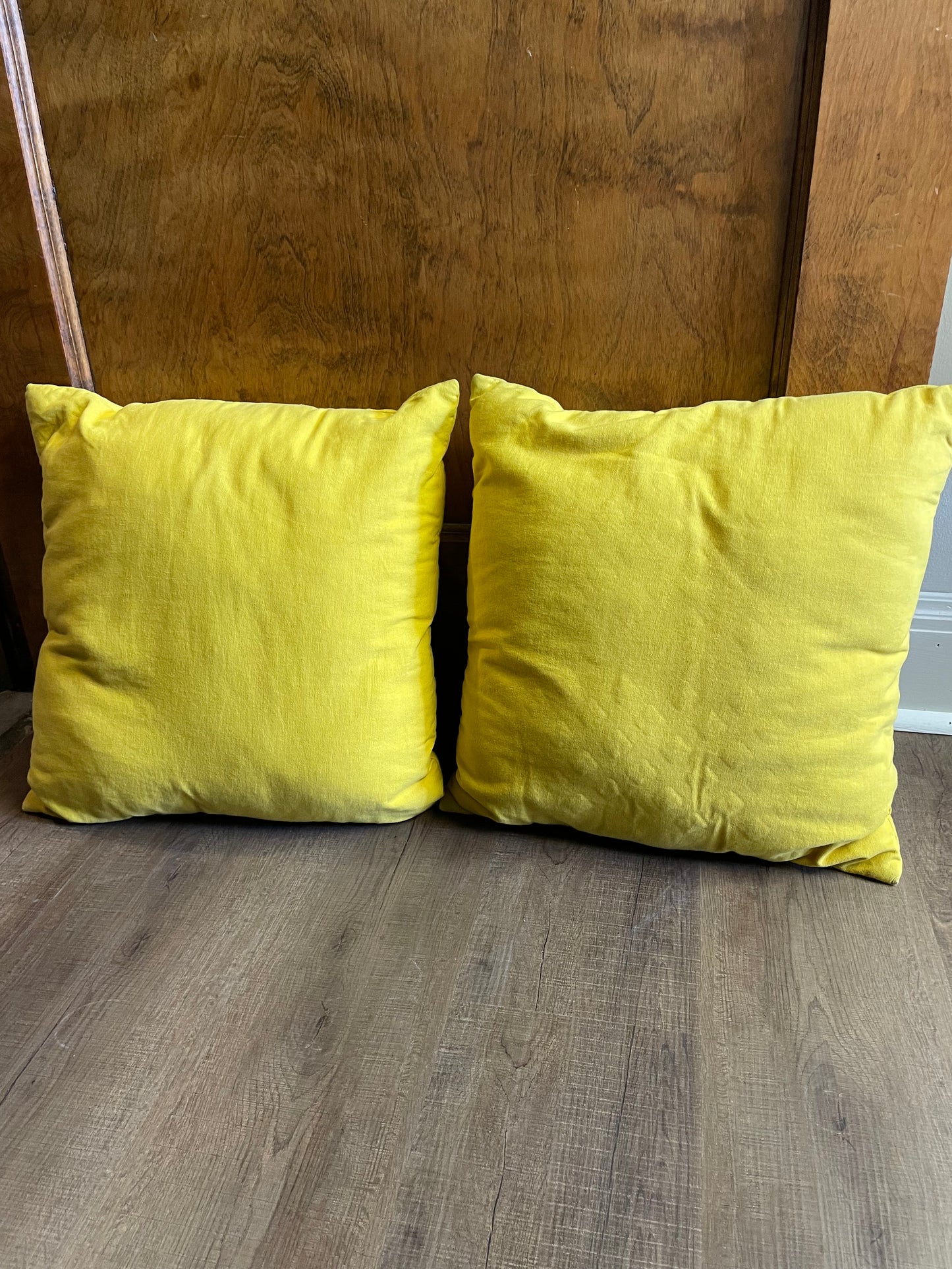 Sunshine Throw Pillows