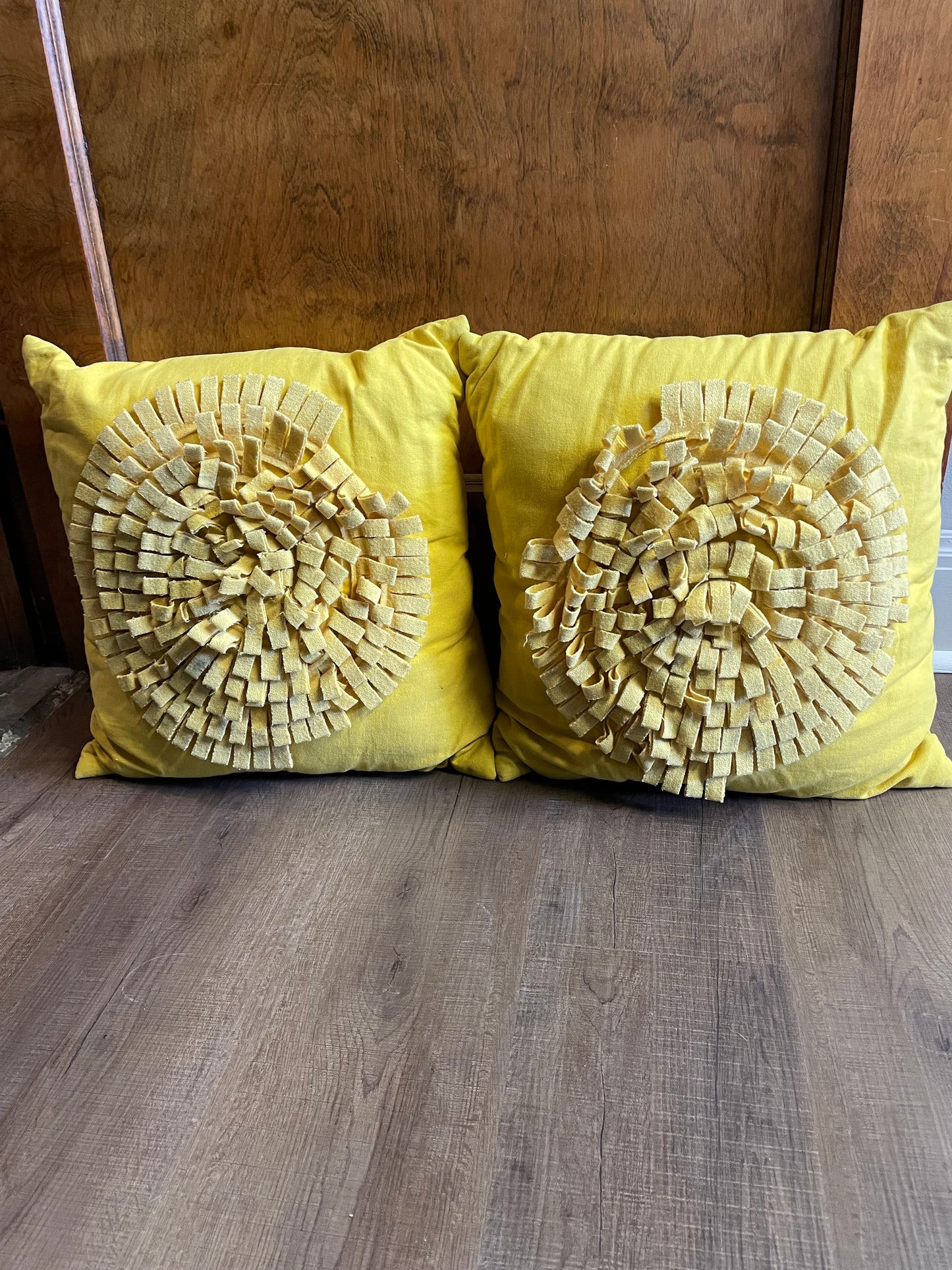 Sunshine Throw Pillows